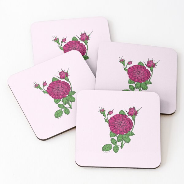 Item preview, Deep Pink Rosette Rose Bloom Very Full 40+ Petals In 3+ Rows designed and sold by Rachael Taylor.