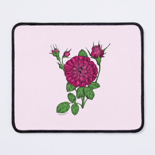 Item preview, Deep Pink Rosette Rose Bloom Very Full 40+ Petals In 3+ Rows designed and sold by Rachael Taylor.