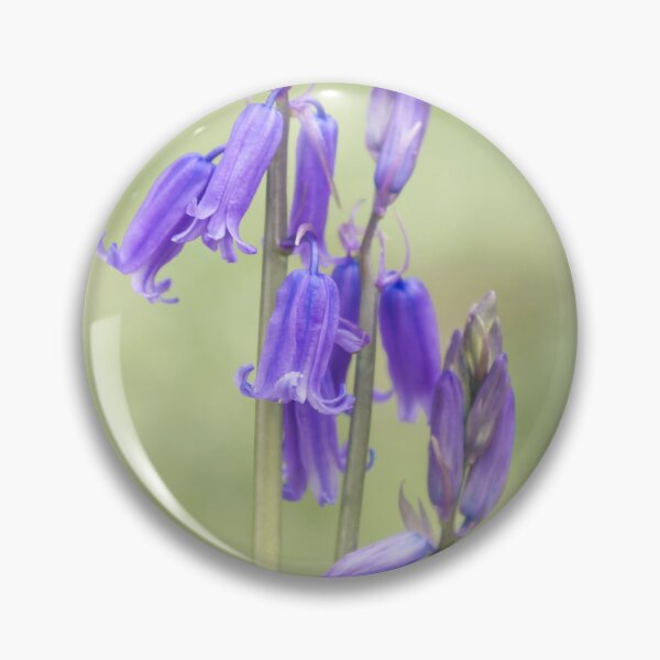 Item preview, Bluebells designed and sold by JEZ22.