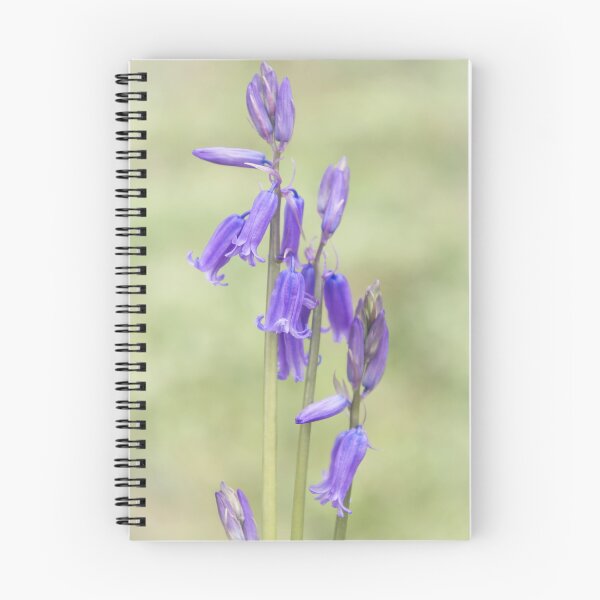 Item preview, Bluebells designed and sold by JEZ22.