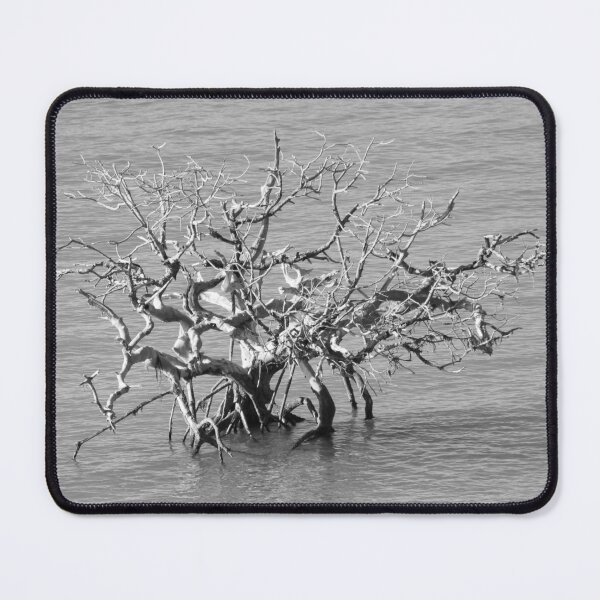 Item preview, Leafless Tree In The Ocean Black And White designed and sold by Designsbygroovy.