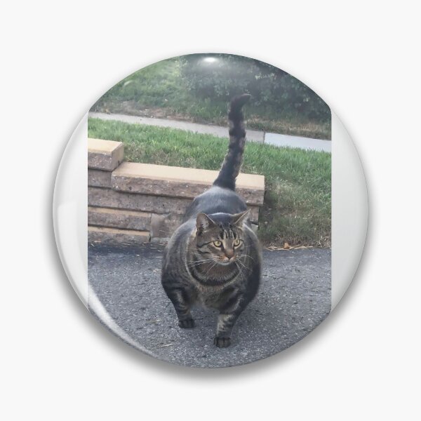 Item preview, Swole Cat Meme designed and sold by Day Dreamer.