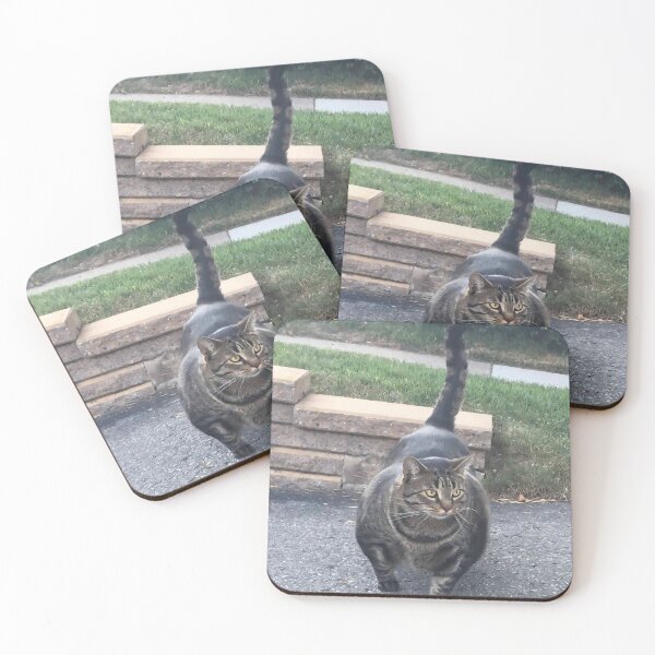 Item preview, Swole Cat Meme designed and sold by Day Dreamer.