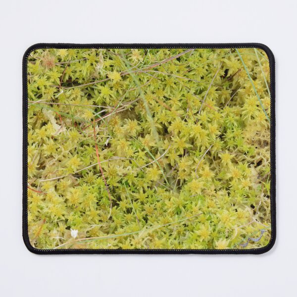 Item preview, A Bed of Sphagnum Moss designed and sold by Alternative Perspectives.
