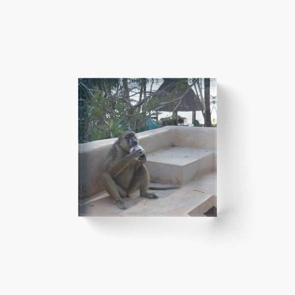 Item preview, Baboon with a Sweet Tooth designed and sold by exploramum.