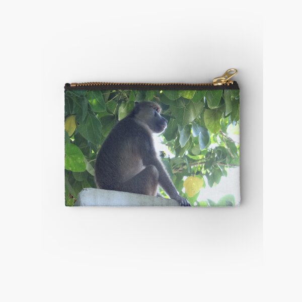 Item preview, Baboon sits guard 1 designed and sold by exploramum.