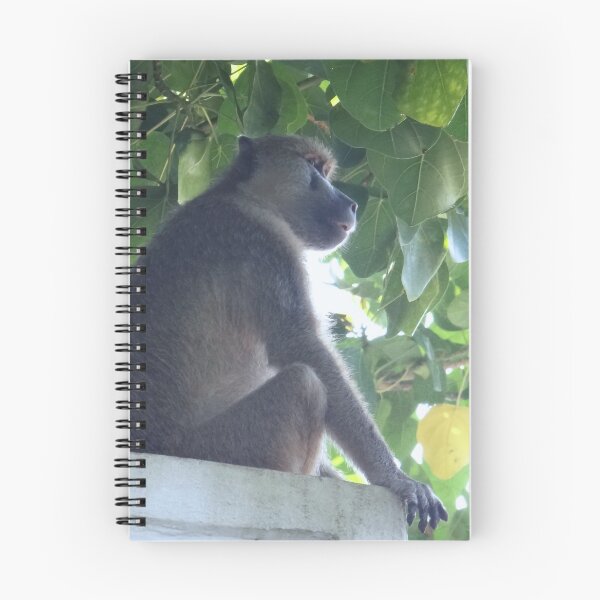 Item preview, Baboon sits guard 1 designed and sold by exploramum.