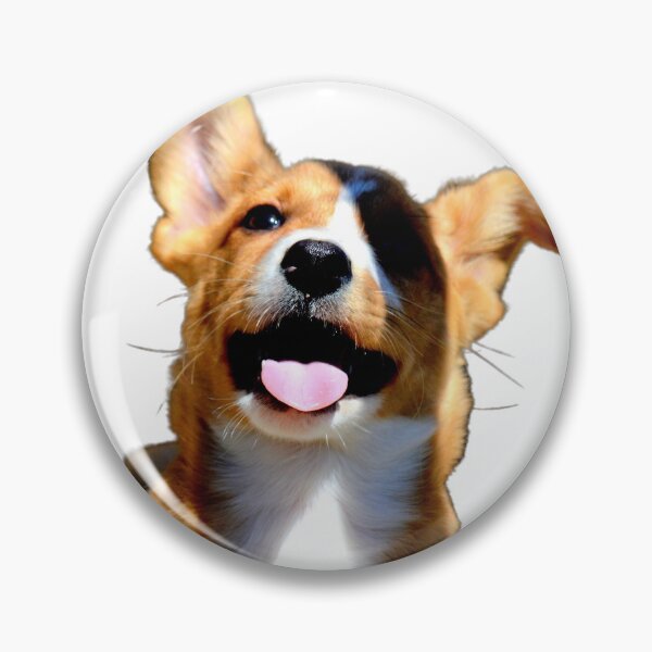 Item preview, Podenco Pup designed and sold by AH Fotography.