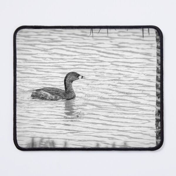 Item preview, Pied Billed Grebe Black and White designed and sold by Debra Martz.