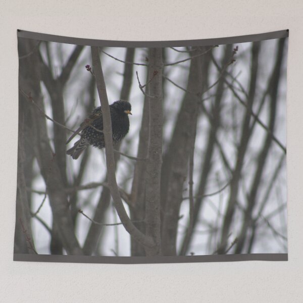 Item preview, Starling  designed and sold by Phoebew03.