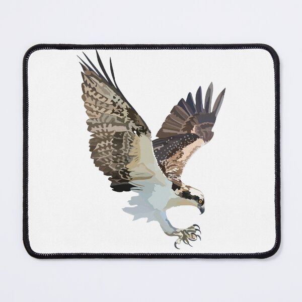 Item preview, O is for Osprey,Osprey – Majestic Fish-Eating Bird of Prey designed and sold by PrettylittlepastelUk.