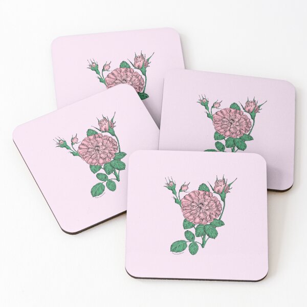 Item preview, Light Pink Rosette Rose Bloom Very Full 40+ Petals In 3+ Rows designed and sold by Rachael Taylor.