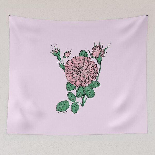 Item preview, Light Pink Rosette Rose Bloom Very Full 40+ Petals In 3+ Rows designed and sold by Rachael Taylor.