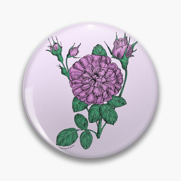 Item preview, Purple Rosette Rose Bloom Very Full 40+ Petals In 3+ Rows designed and sold by Rachael Taylor.