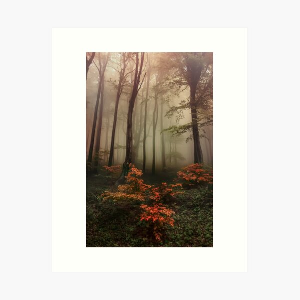 Item preview, Autumn mornin in forgotten forest designed and sold by JBlaminsky.