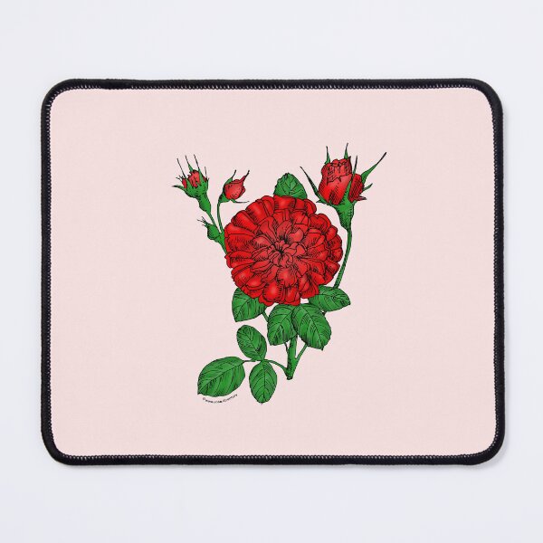 Item preview, Bright Red Rosette Rose Bloom Very Full 40+ Petals In 3+ Rows designed and sold by Rachael Taylor.