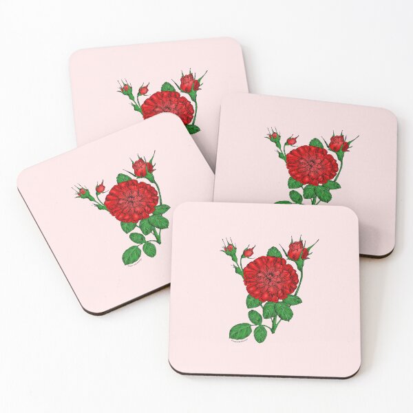 Item preview, Bright Red Rosette Rose Bloom Very Full 40+ Petals In 3+ Rows designed and sold by Rachael Taylor.