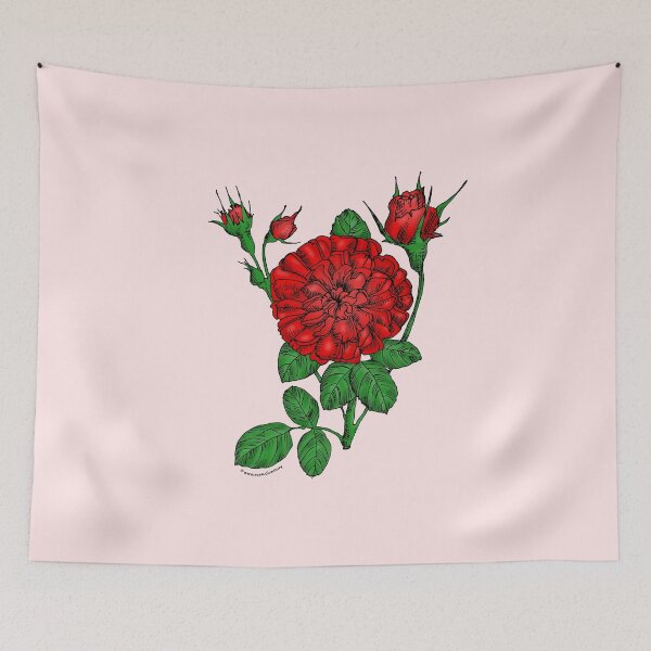 Item preview, Bright Red Rosette Rose Bloom Very Full 40+ Petals In 3+ Rows designed and sold by Rachael Taylor.