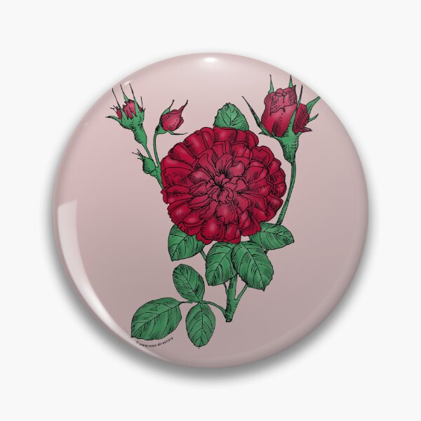 Item preview, Dark Red Rosette Rose Bloom Very Full 40+ Petals In 3+ Rows designed and sold by Rachael Taylor.
