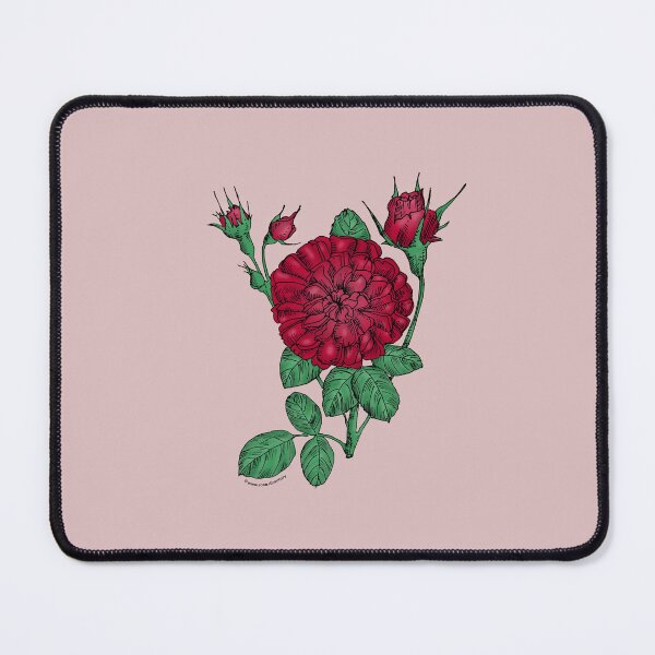 Item preview, Dark Red Rosette Rose Bloom Very Full 40+ Petals In 3+ Rows designed and sold by Rachael Taylor.