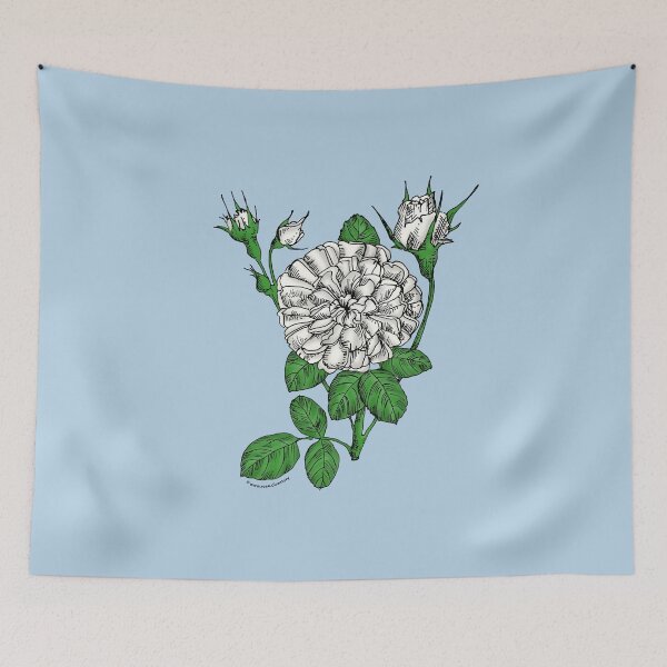 Item preview, White Rosette Rose Bloom Very Full 40+ Petals In 3+ Rows designed and sold by Rachael Taylor.
