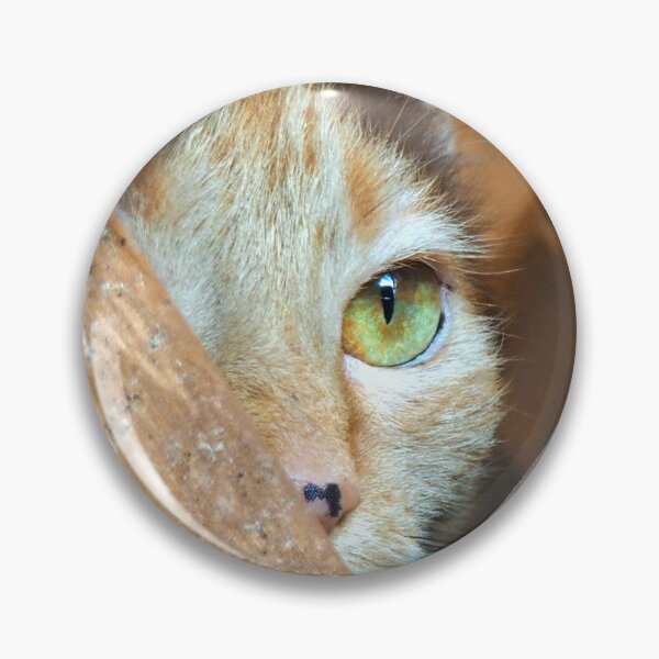 Item preview, Peekaboo Purrfection designed and sold by Anthony Di Sano.