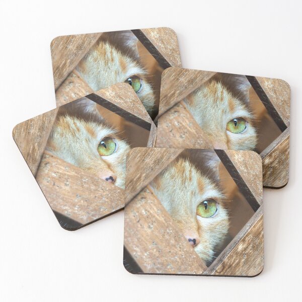 Item preview, Peekaboo Purrfection designed and sold by Anthony Di Sano.