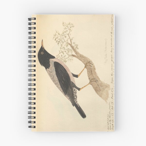 Item preview,  Rosy Starling by Frederick John Shore designed and sold by Amanda1775.