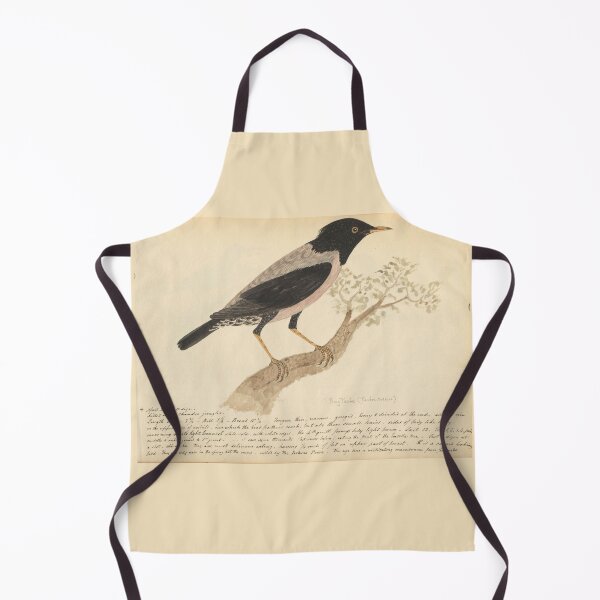 Item preview,  Rosy Starling by Frederick John Shore designed and sold by Amanda1775.