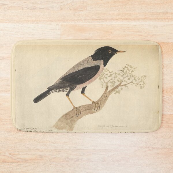 Item preview,  Rosy Starling by Frederick John Shore designed and sold by Amanda1775.