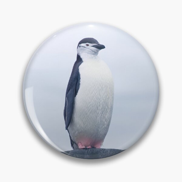 Item preview, PENGUIN SOLDIER designed and sold by adumont1.