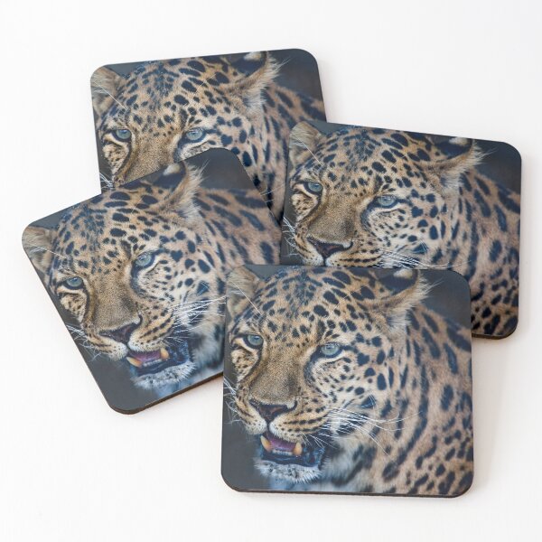 Item preview, Leopard Close Up designed and sold by dawn2dawn.