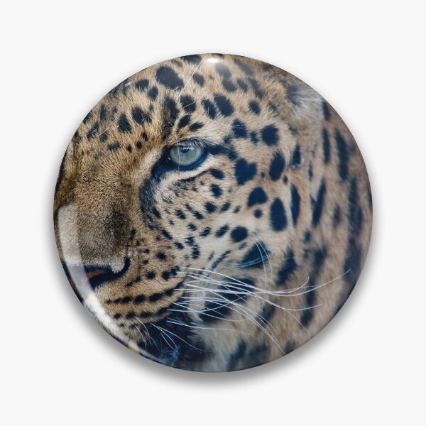 Item preview, Leopard Close Up designed and sold by dawn2dawn.