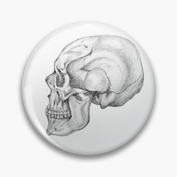 Item preview, Skull anatomy designed and sold by Tereza Pilar  Art.