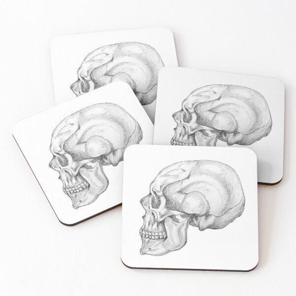 Item preview, Skull anatomy designed and sold by Tereza Pilar  Art.