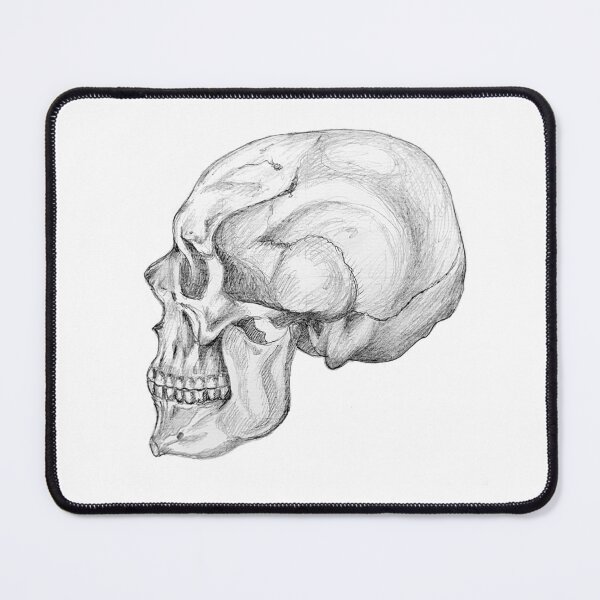 Item preview, Skull anatomy designed and sold by Tereza Pilar  Art.