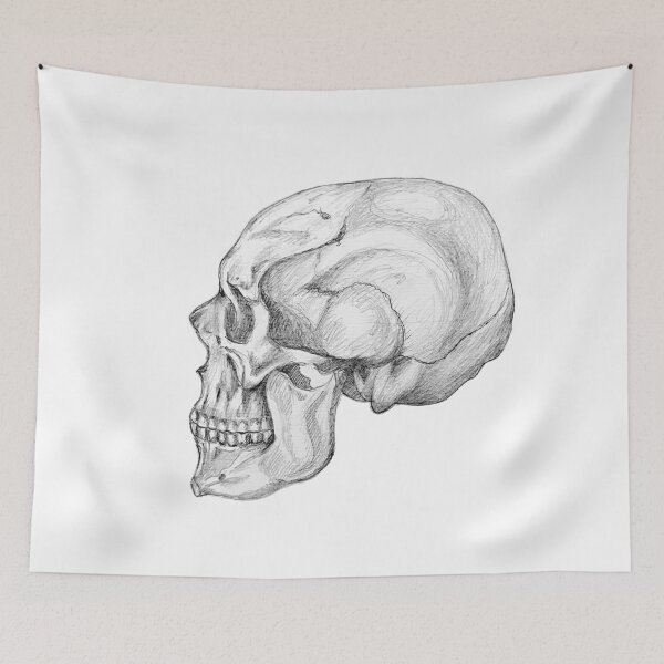 Item preview, Skull anatomy designed and sold by Tereza Pilar  Art.