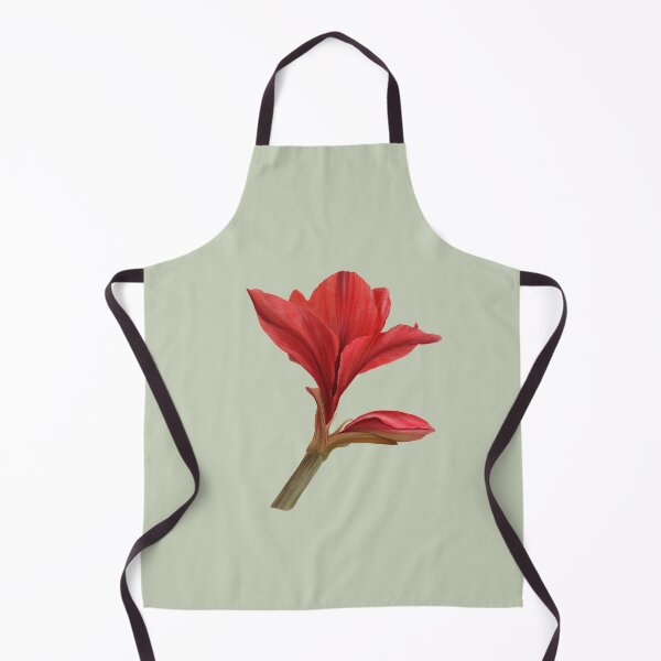 Item preview, Red amaryllis flower Hand drawn watercolor clipart designed and sold by BartolArt.