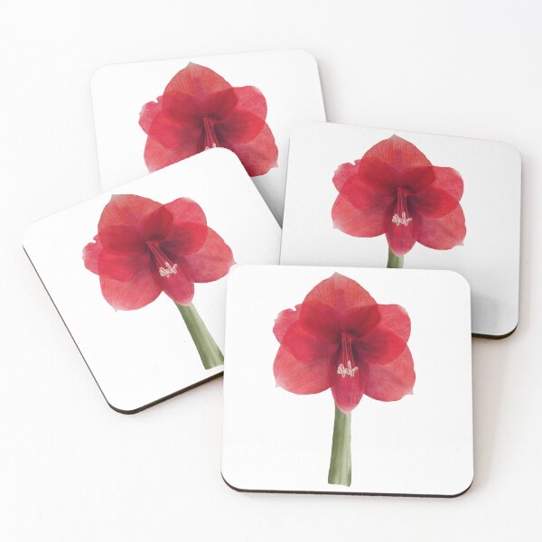 Item preview, Red amaryllis flower Hand drawn watercolor clipart designed and sold by BartolArt.