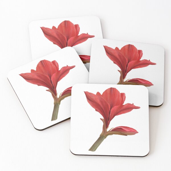 Item preview, Red amaryllis flower Hand drawn watercolor clipart designed and sold by BartolArt.