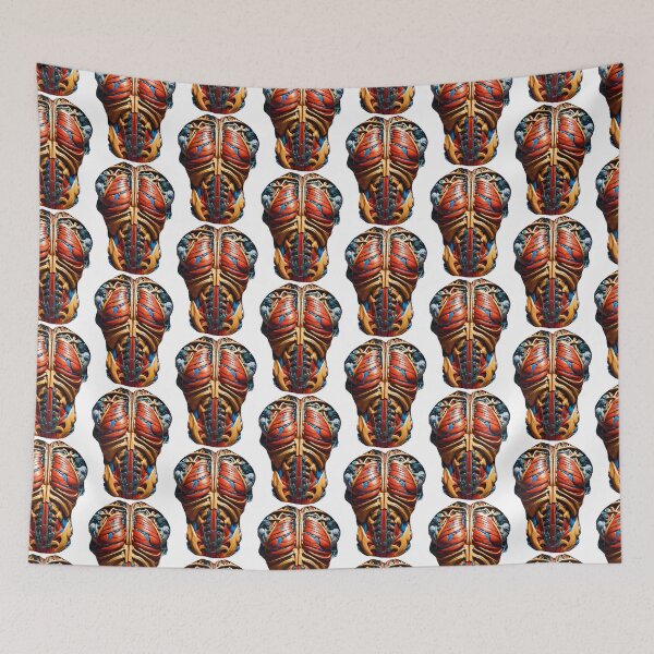 Item preview, Anatomy 2 designed and sold by RoyalMob.