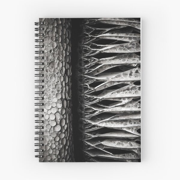 Item preview, Cinematic Monochromatic Nature Photography designed and sold by ShadeScapeArt.
