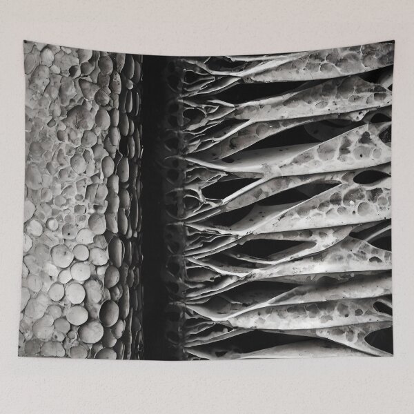 Item preview, Cinematic Monochromatic Nature Photography designed and sold by ShadeScapeArt.
