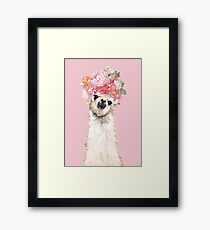 Lámina enmarcada Llama con flores Corona en rosa