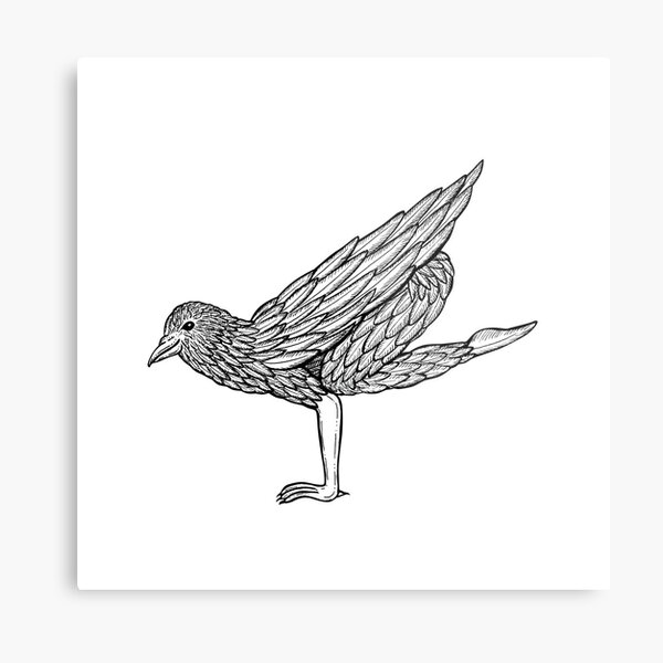 Crow Pose / Bakasana Metal Print