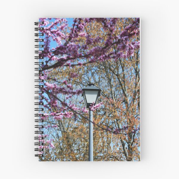 Item preview, Light in the Blooms designed and sold by stoverscribbles.