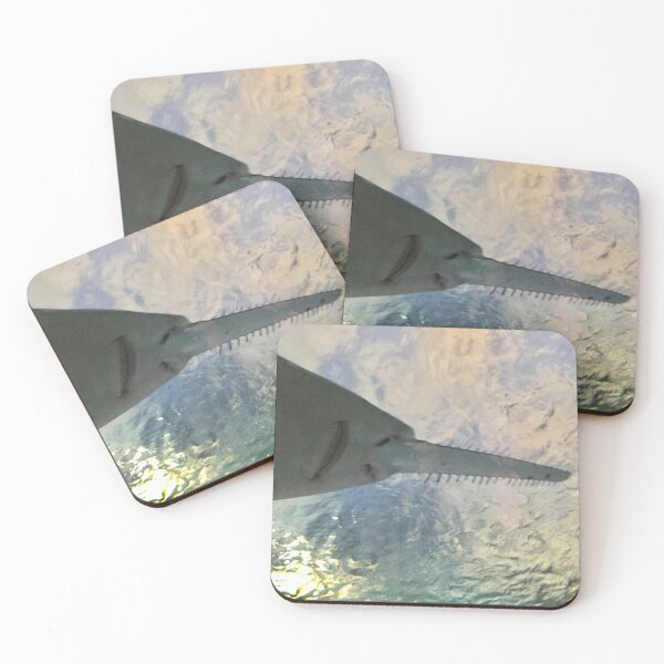Item preview, Underneath a Knifetooth Sawfish designed and sold by Nature Photography by Wendi Gordon.