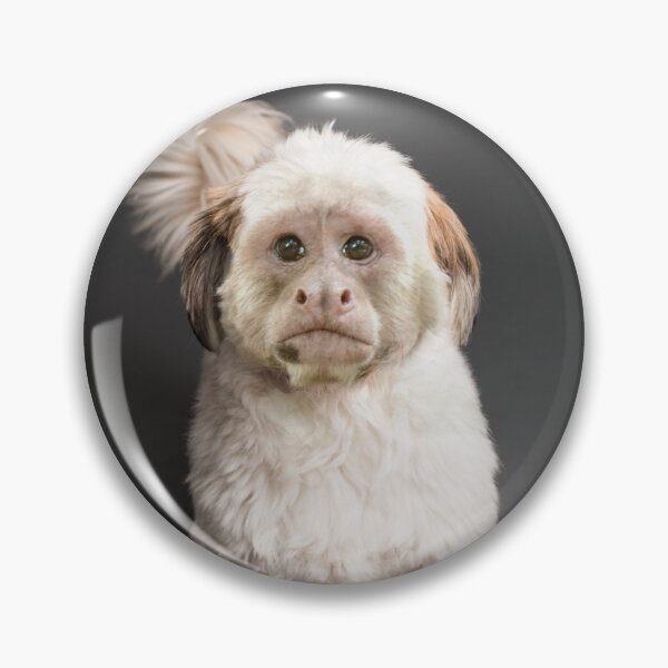 Item preview, Monkey Dog designed and sold by ShotOfUrban98.