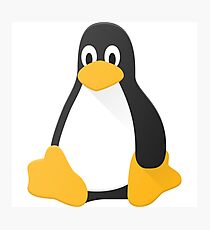 Linux penguin Photographic Print
