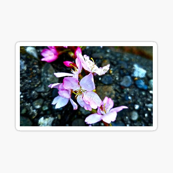 Item preview, The Fallen Pixie designed and sold by OTHP.